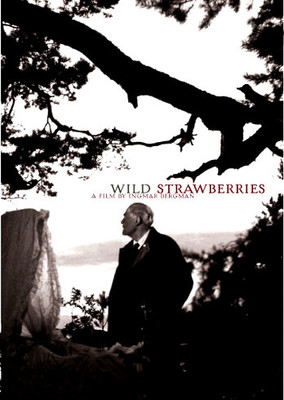 Wild Strawberries: Av Media Buy Wild Strawberries: Av Media