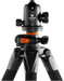 Vanguard Alta Pro 264AB 100