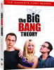 The Big Bang Theory Season 1