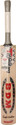 BDM Titanium English Willow Cricket  Bat: Bat