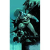 Absolute Batman Hush by Loeb Lee Williams