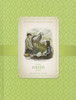 Buy Book Heidi by 