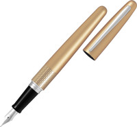 Combo of Pilot Fountain Pen: Bundle