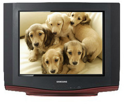 Samsung 21C510 CRT 21 inches Television: Television Buy Samsung 21C510 CRT 21 inches Television: Television